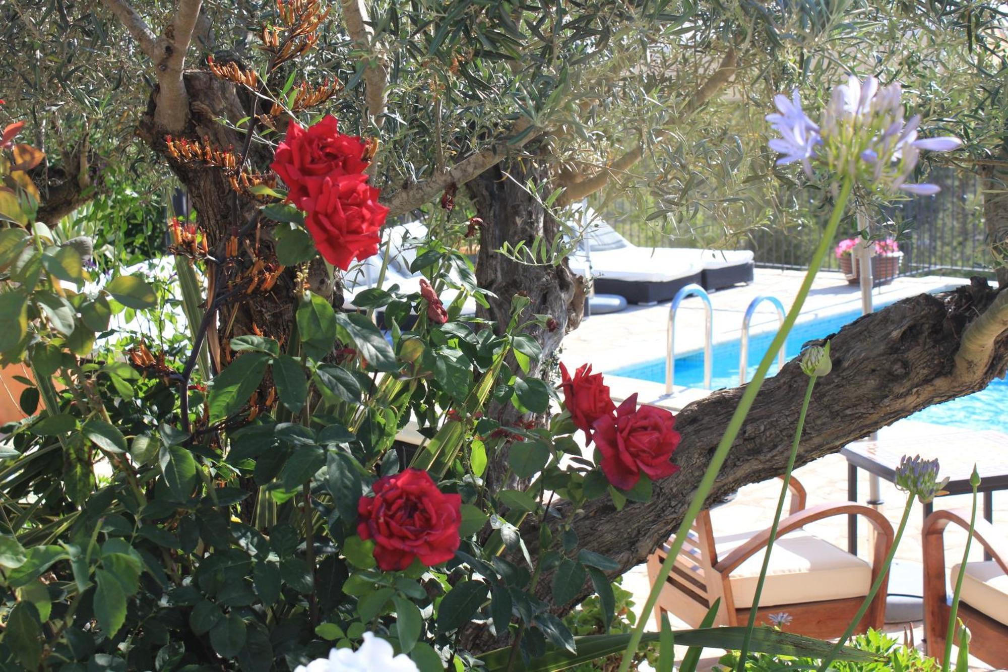 Agroturismo Can Pardal Bauernhof Sant Miquel de Balansat